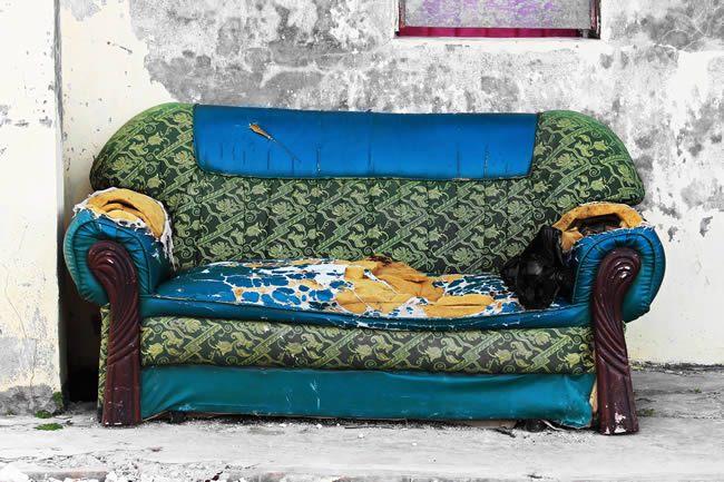 Persistent Organic Pollutants